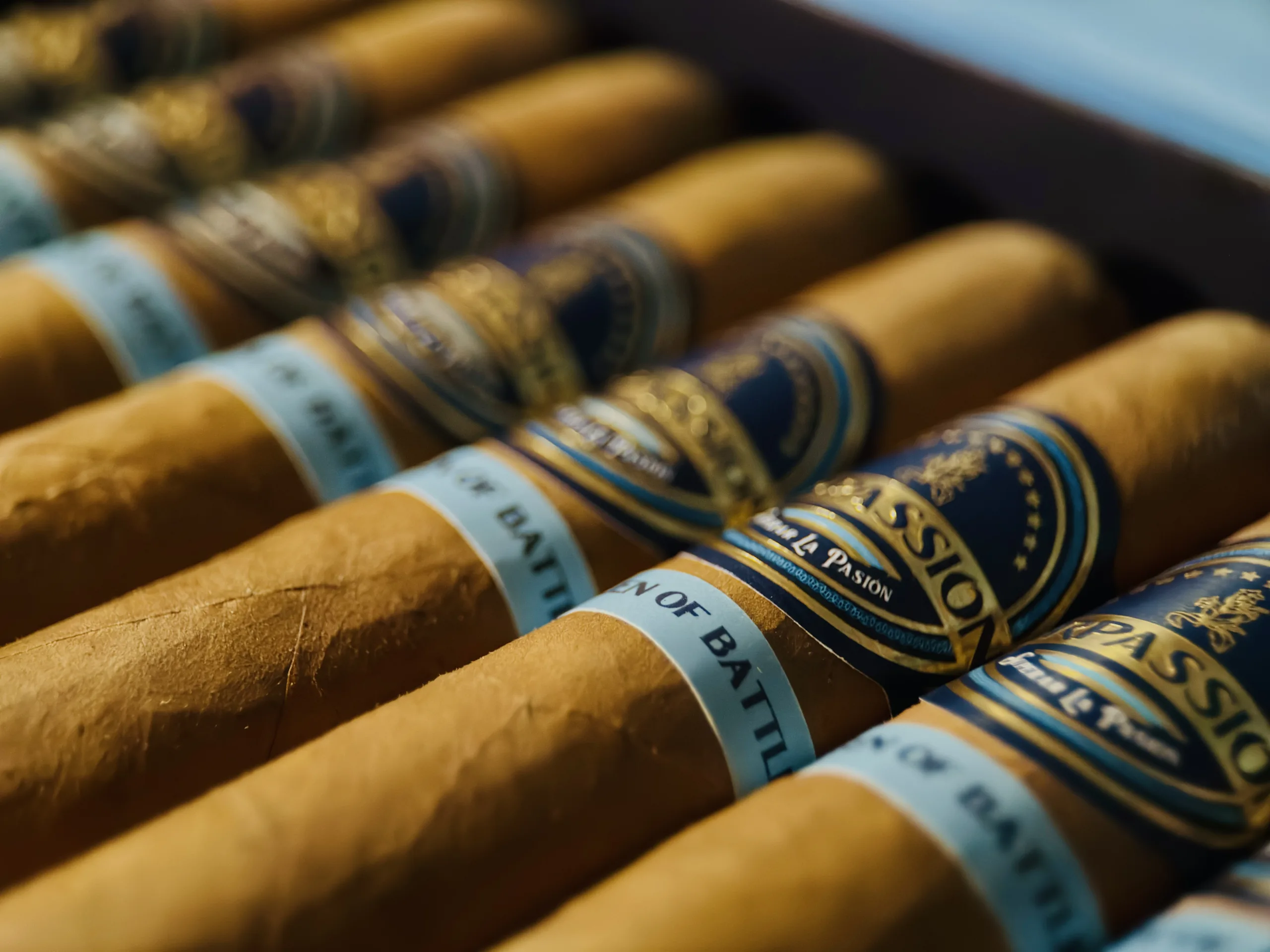Cigar 4