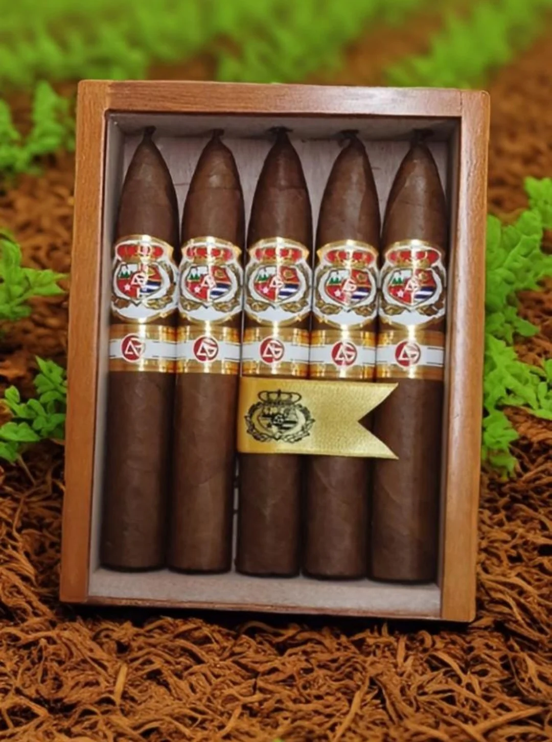 Cigar 4