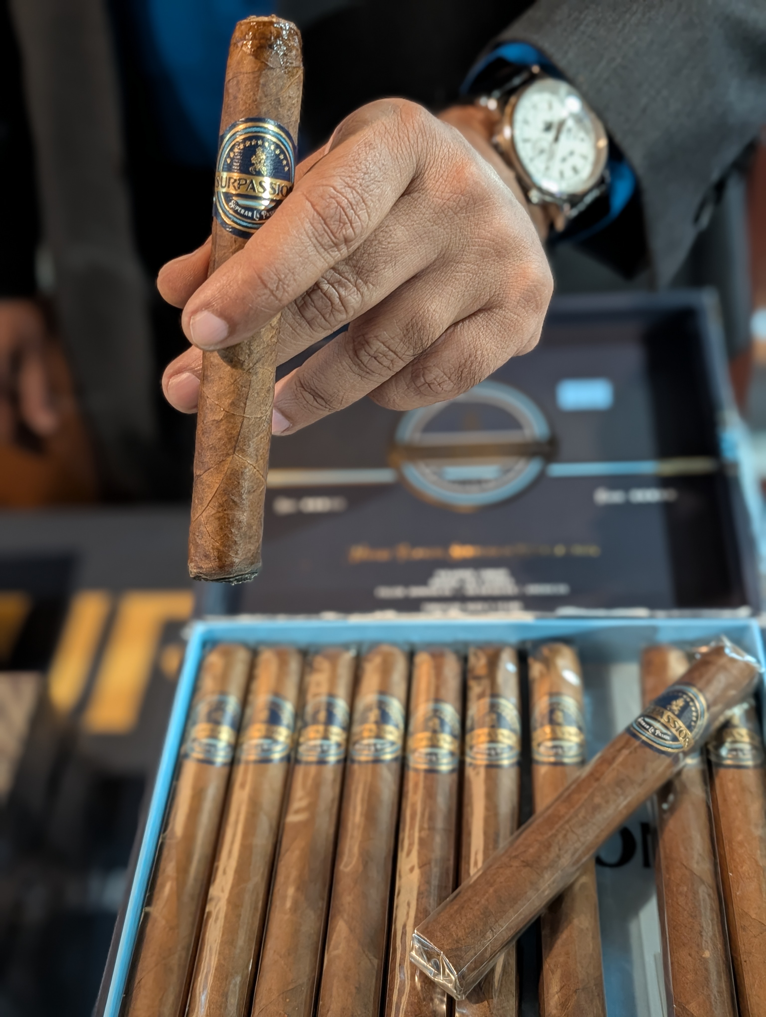 Cigar 3